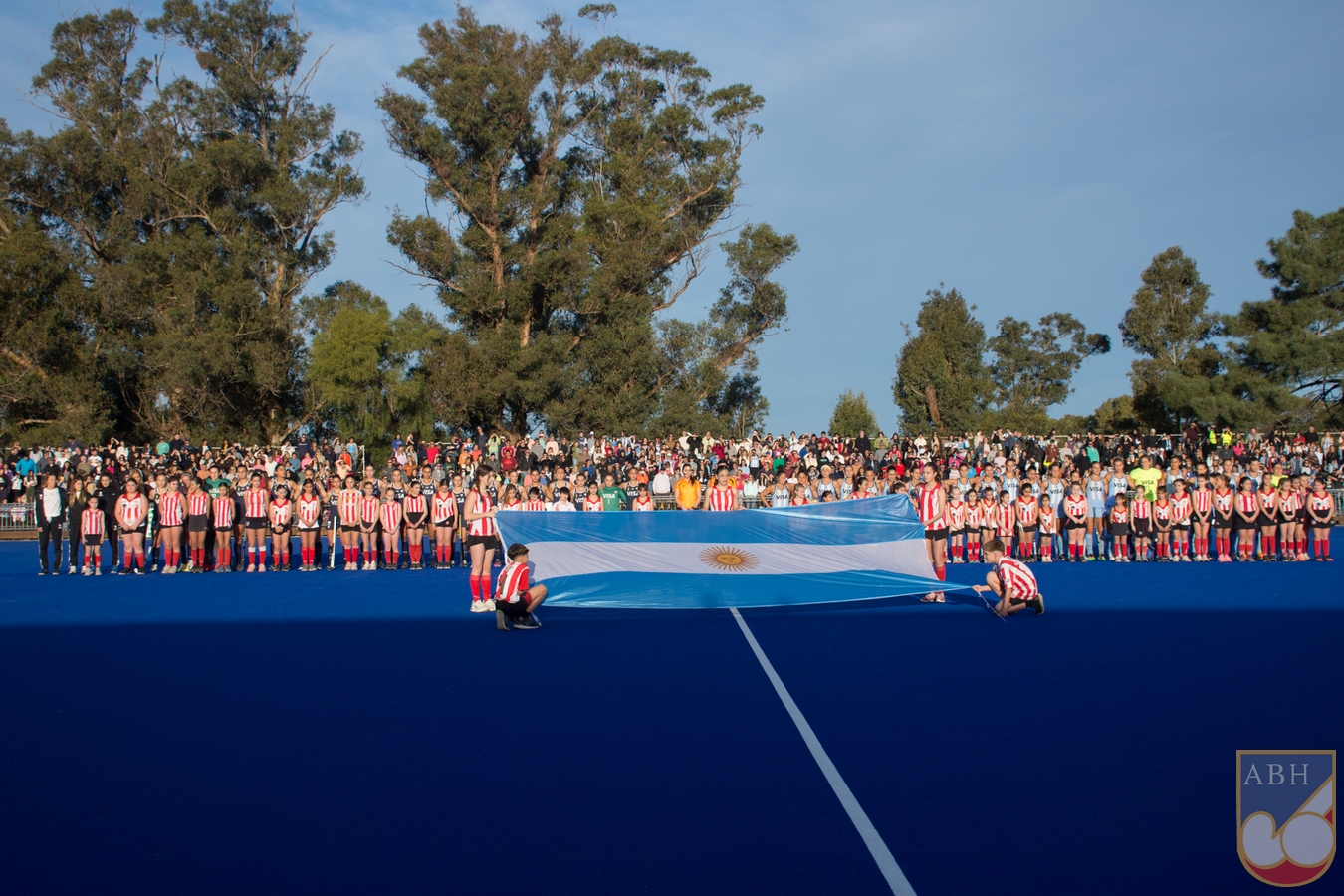 hockey2