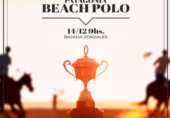 beach polo